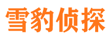 芦山外遇调查取证